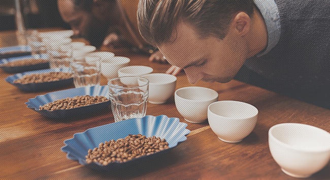 Time for cupping: μια εισαγωγή στη γευσιγνωσία για κάθε barista!