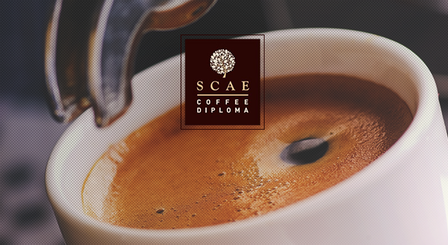 Θέσε τις σωστές βάσεις με ένα σεμινάριο SCAE Barista Foundation!