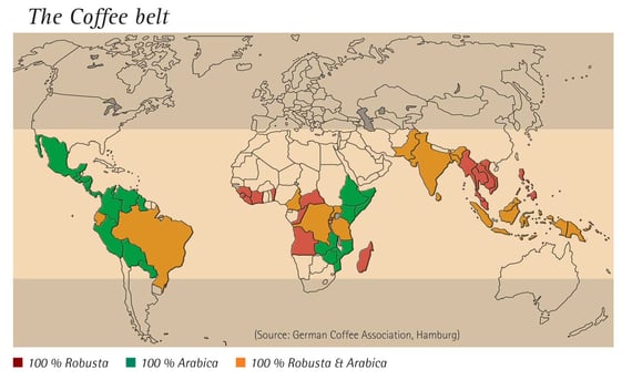 Coffee belt