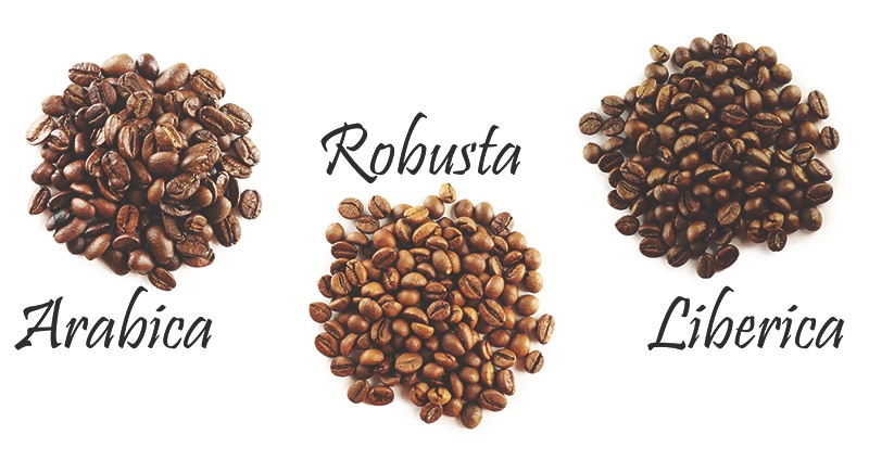 Κόκκοι καφέ Arabica, Robusta και Liberica