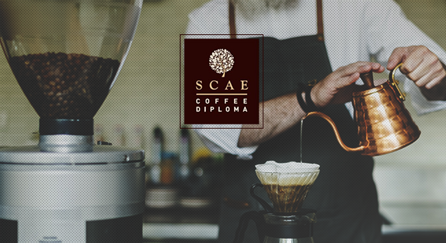 SCAE Brewing Intermediate: τα μυστικά του brewing σ΄ένα σεμινάριο!